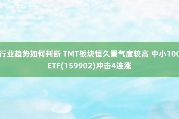 行业趋势如何判断 TMT板块恒久景气度较高 中小100ETF(159902)冲击4连涨