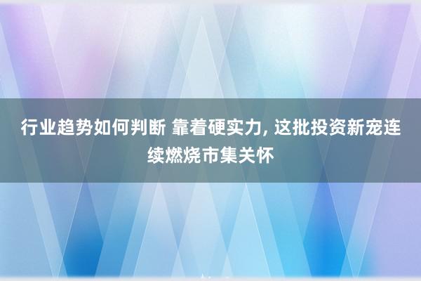 行业趋势如何判断 靠着硬实力, 这批投资新宠连续燃烧市集关怀