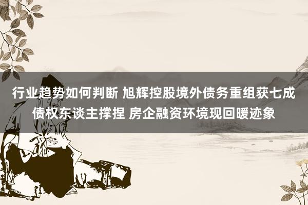 行业趋势如何判断 旭辉控股境外债务重组获七成债权东谈主撑捏 房企融资环境现回暖迹象