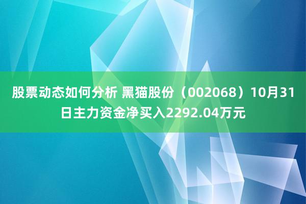 股票动态如何分析 黑猫股份（002068）10月31日主力资金净买入2292.04万元