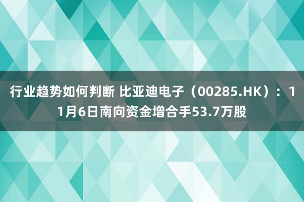 行业趋势如何判断 比亚迪电子（00285.HK）：11月6日南向资金增合手53.7万股