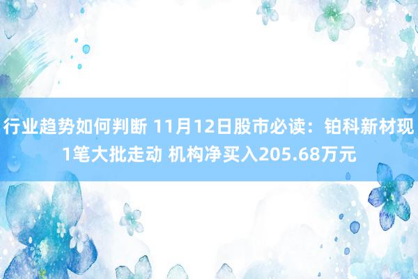 行业趋势如何判断 11月12日股市必读：铂科新材现1笔大批走动 机构净买入205.68万元