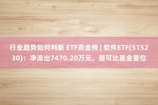 行业趋势如何判断 ETF资金榜 | 软件ETF(515230)：净流出7470.20万元，居可比基金首位