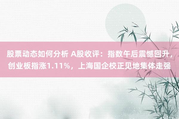 股票动态如何分析 A股收评：指数午后震憾回升，创业板指涨1.11%，上海国企校正见地集体走强