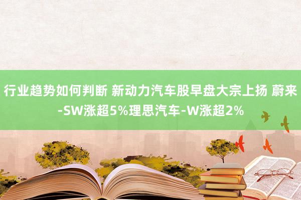 行业趋势如何判断 新动力汽车股早盘大宗上扬 蔚来-SW涨超5%理思汽车-W涨超2%