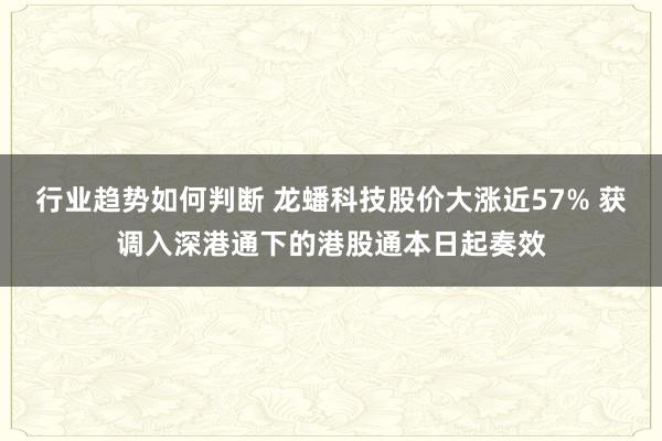 行业趋势如何判断 龙蟠科技股价大涨近57% 获调入深港通下的港股通本日起奏效