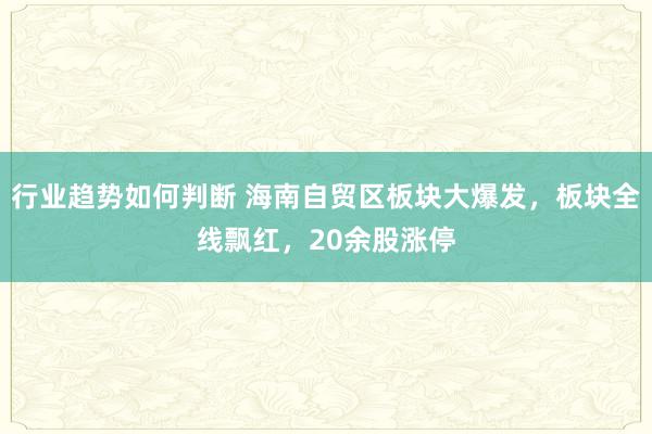 行业趋势如何判断 海南自贸区板块大爆发，板块全线飘红，20余股涨停