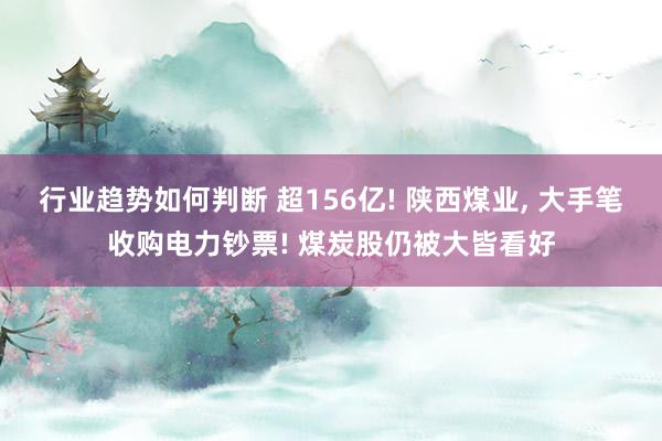 行业趋势如何判断 超156亿! 陕西煤业, 大手笔收购电力钞票! 煤炭股仍被大皆看好