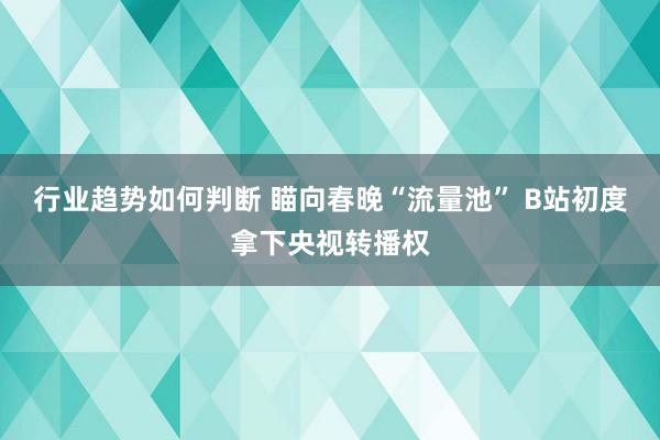 行业趋势如何判断 瞄向春晚“流量池” B站初度拿下央视转播权