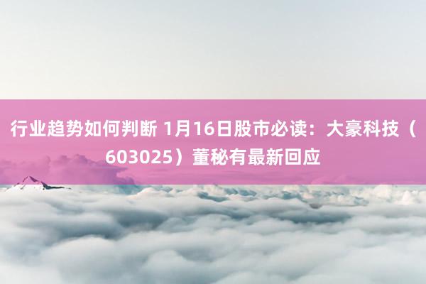 行业趋势如何判断 1月16日股市必读：大豪科技（603025）董秘有最新回应