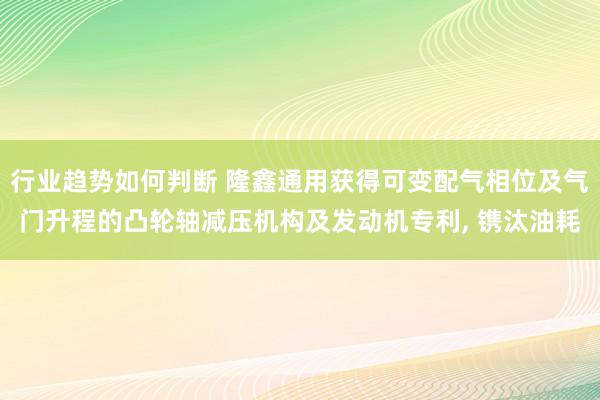 行业趋势如何判断 隆鑫通用获得可变配气相位及气门升程的凸轮轴减压机构及发动机专利, 镌汰油耗