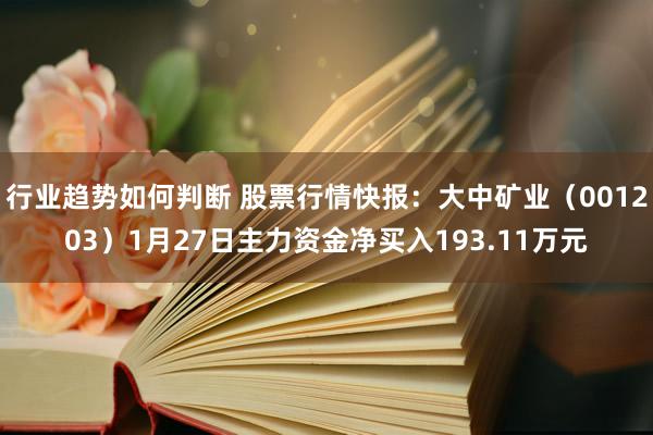 行业趋势如何判断 股票行情快报：大中矿业（001203）1月27日主力资金净买入193.11万元