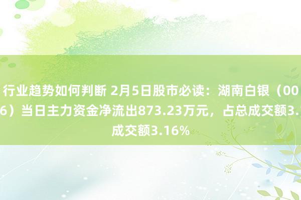 行业趋势如何判断 2月5日股市必读：湖南白银（002716）当日主力资金净流出873.23万元，占总成交额3.16%