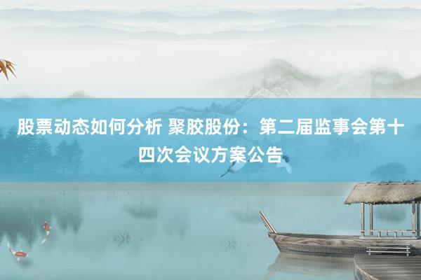 股票动态如何分析 聚胶股份：第二届监事会第十四次会议方案公告