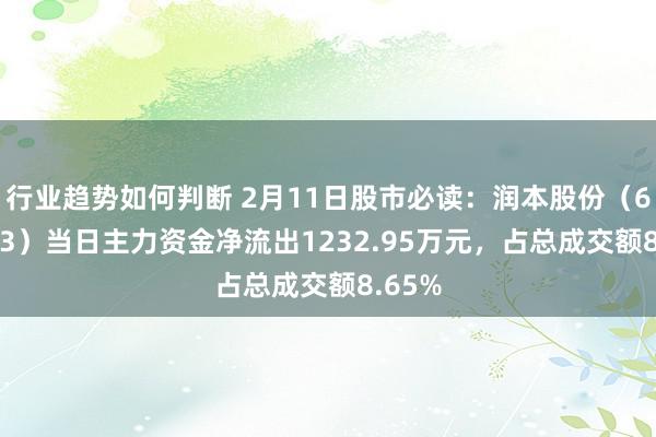 行业趋势如何判断 2月11日股市必读：润本股份（603193）当日主力资金净流出1232.95万元，占总成交额8.65%