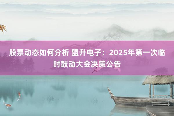 股票动态如何分析 盟升电子：2025年第一次临时鼓动大会决策公告