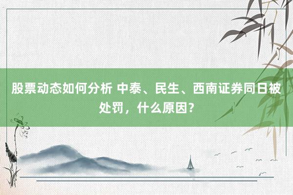 股票动态如何分析 中泰、民生、西南证券同日被处罚，什么原因？