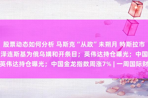 股票动态如何分析 马斯克“从政”未朔月 特斯拉市值已挥发1.65万亿元；泽连斯基为俄乌媾和开条目；英伟达持仓曝光；中国金龙指数周涨7% | 一周国际财经