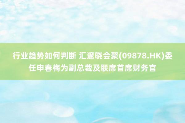 行业趋势如何判断 汇邃晓会聚(09878.HK)委任申春梅为副总裁及联席首席财务官