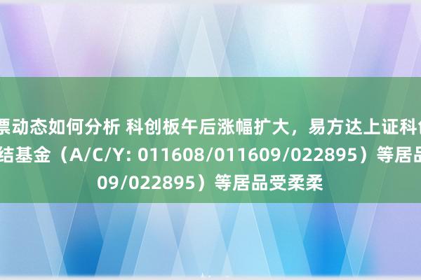 股票动态如何分析 科创板午后涨幅扩大，易方达上证科创50ETF联结基金（A/C/Y: 011608/011609/022895）等居品受柔柔