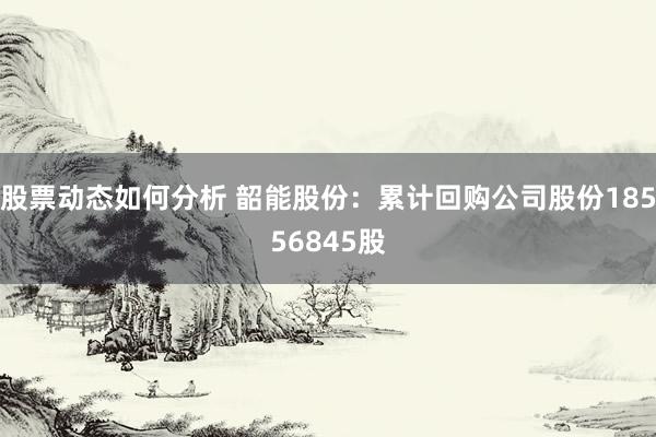 股票动态如何分析 韶能股份：累计回购公司股份18556845股