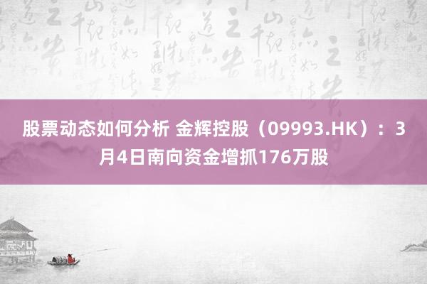 股票动态如何分析 金辉控股（09993.HK）：3月4日南向资金增抓176万股