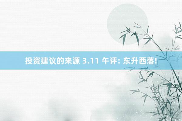 投资建议的来源 3.11 午评: 东升西落!