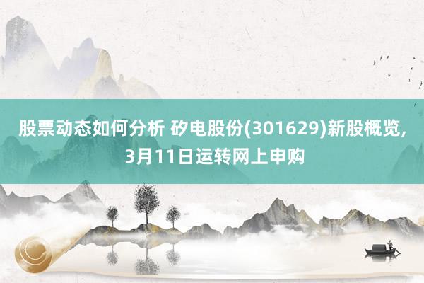 股票动态如何分析 矽电股份(301629)新股概览, 3月11日运转网上申购