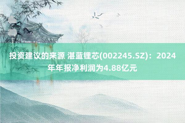 投资建议的来源 湛蓝锂芯(002245.SZ)：2024年年报净利润为4.88亿元