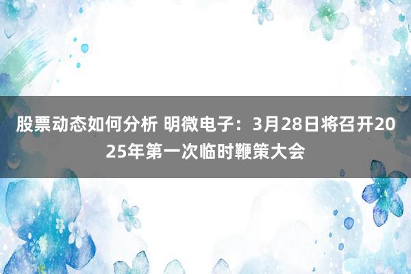 股票动态如何分析 明微电子：3月28日将召开2025年第一次临时鞭策大会