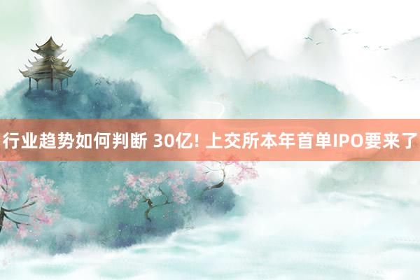 行业趋势如何判断 30亿! 上交所本年首单IPO要来了