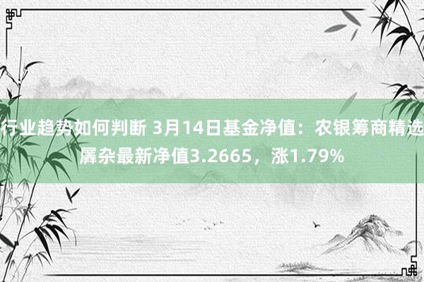 行业趋势如何判断 3月14日基金净值：农银筹商精选羼杂最新净值3.2665，涨1.79%