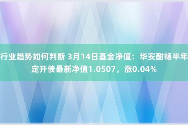 行业趋势如何判断 3月14日基金净值：华安酣畅半年定开债最新净值1.0507，涨0.04%