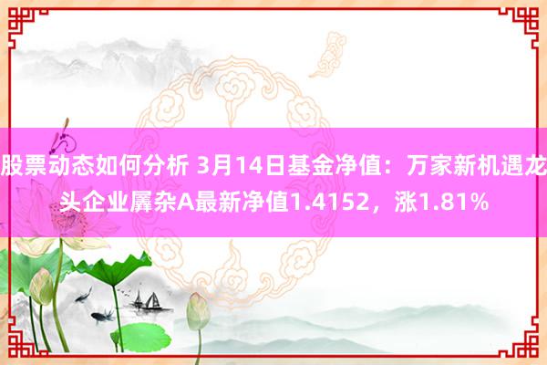 股票动态如何分析 3月14日基金净值：万家新机遇龙头企业羼杂A最新净值1.4152，涨1.81%