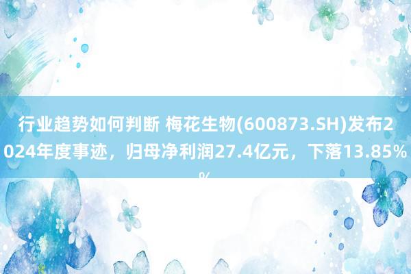 行业趋势如何判断 梅花生物(600873.SH)发布2024年度事迹，归母净利润27.4亿元，下落13.85%